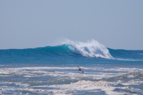 Outer Reef Road, May 8 2007.